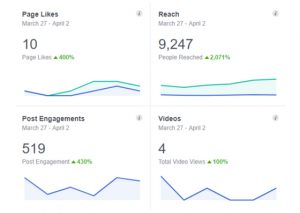 Facebook Insights - Examples