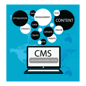 CMS is Best for Your Business