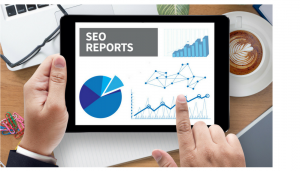 SEO Reports